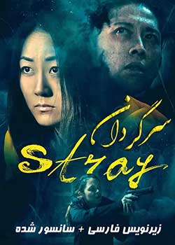 Stray - سرگردان
