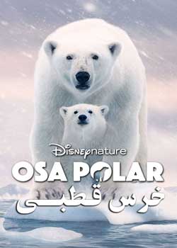 Polar Bear - خرس قطبی