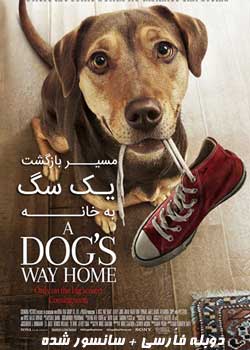 A Dog's Way Home