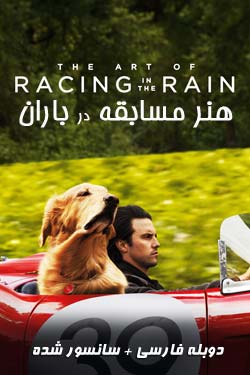 The Art of Racing in the Rain